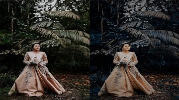 Cinematic Soft Grey Color Grading Photoshop