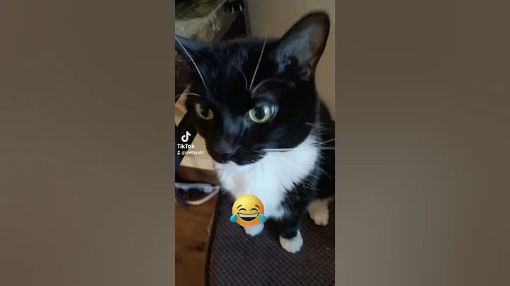lucky what you looking at