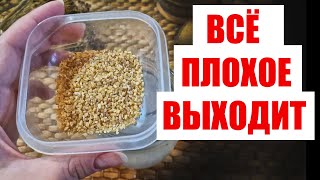 Не Могла Встать На Ноги От Боли, а Теперь Бегаю как Молодая! Лечит 100 недугов!