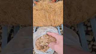 VID 20240211 WA0005
