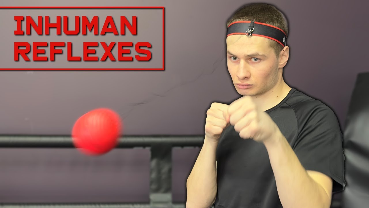 Boxing Reflex Ball Training: From 0 to 100 - YouTube