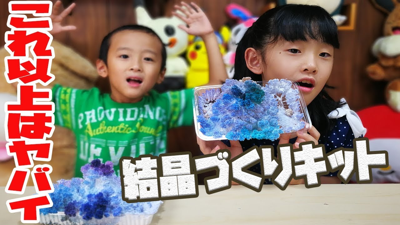 100円自由研究のピカちんキット 結晶をつくろう に挑戦 あやはやチャンネル Youtube 100円自由研究のピカちんキット 結晶をつくろう に挑戦 あやはやチャンネル Youtube