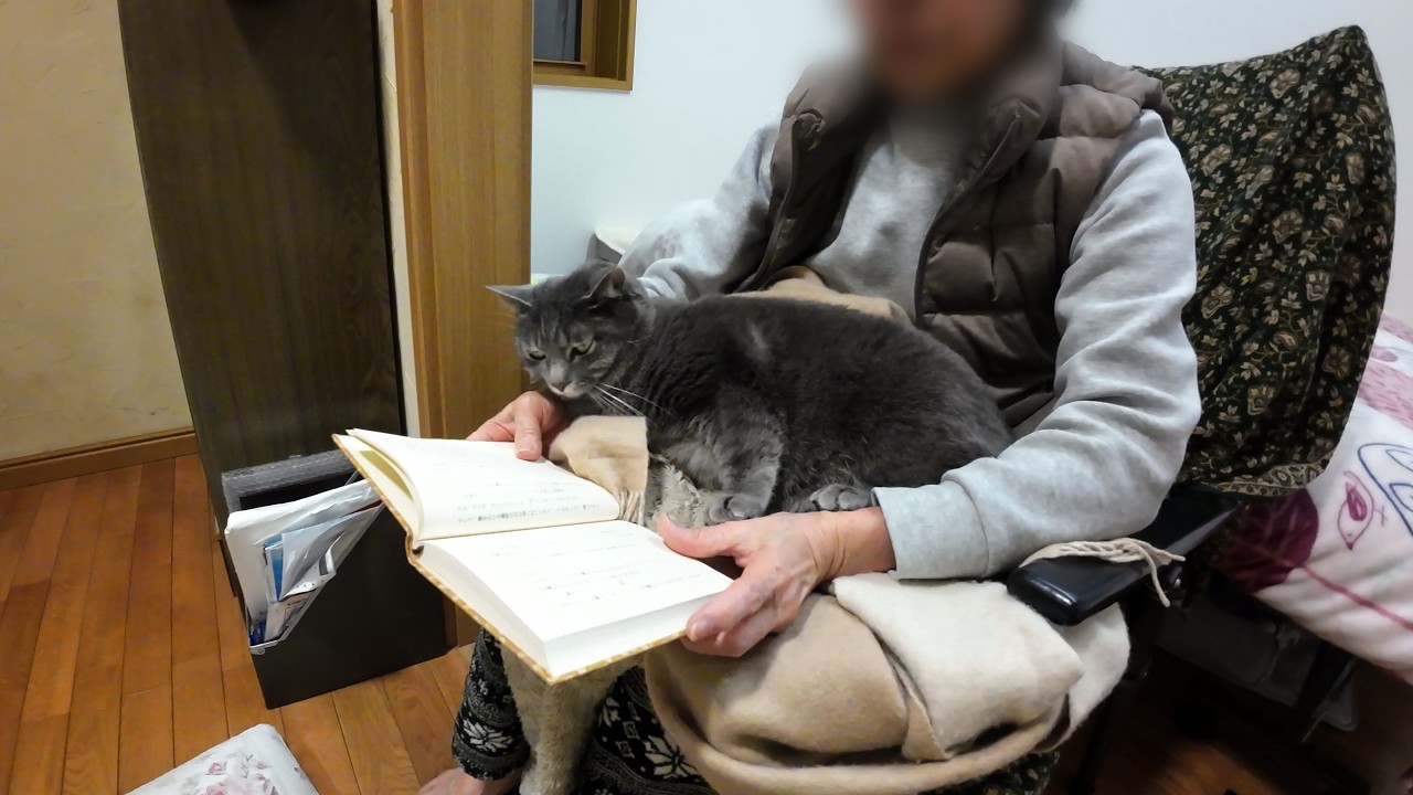 甘えん坊猫とばーばの静かでやさしい冬の一日｜70代の静かな暮らし
