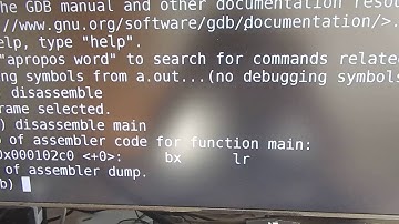 Disassembling ARM vs x86 (on Raspberry Pi)