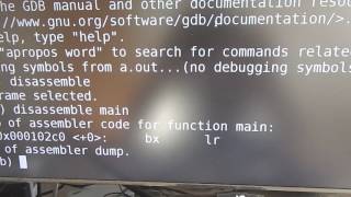 Disassembling ARM vs x86 (on Raspberry Pi)