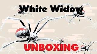 White Widow Autoflower Seeds Unboxing from ILGM!!