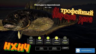 Трофейная Бельдюга европейская на Норвежском море. Русская Рыбалка 4. Russian Fishing 4. РР4. ВПК.
