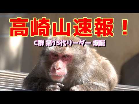 Takasakiyama breaking news! Group C's 15th leader, Naruto, has