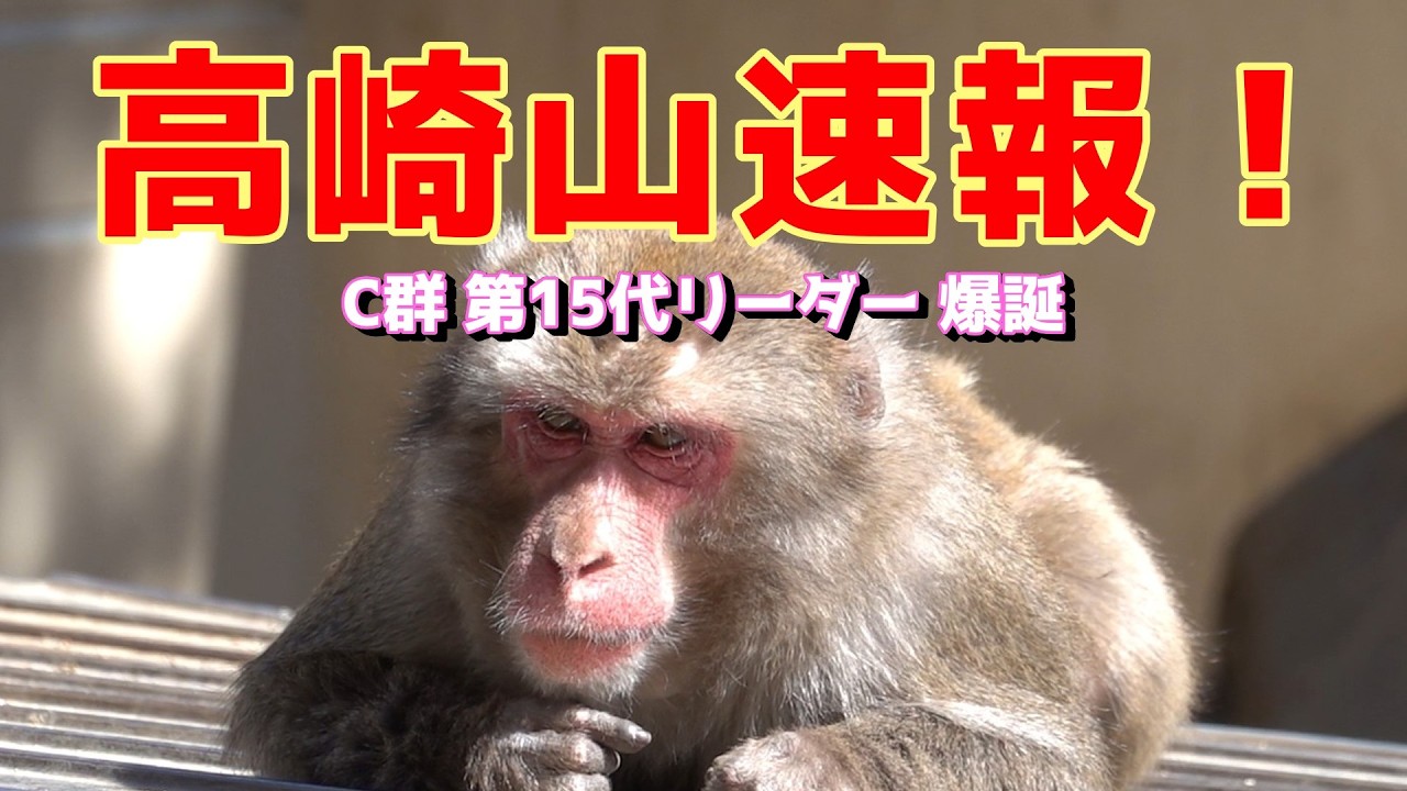 Takasakiyama breaking news! Group C's 15th leader, Naruto, has
