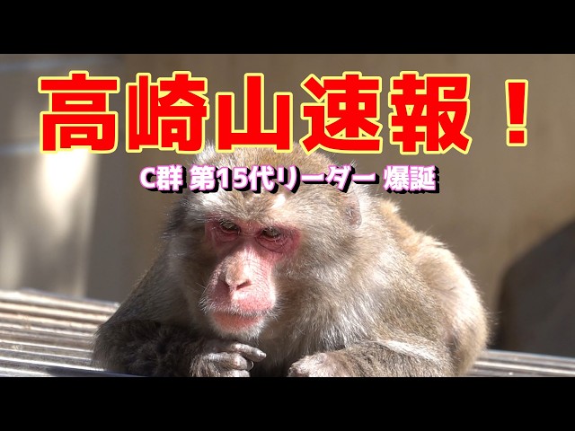 Takasakiyama breaking news! Group C's 15th leader, Naruto, has