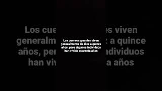 Paseo matinal por el bosque. Cantabria 💢♥️ ver descripción.