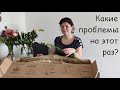 Как распускается ирис. Пятый букет от Freddies flowers. Увлечение флористикой. Волшебство природы