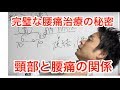 治療院経営　マーケティング　集客　完璧な腰痛治療の秘密　頸部と腰痛の関係　The secret of perfect back pain treatment
