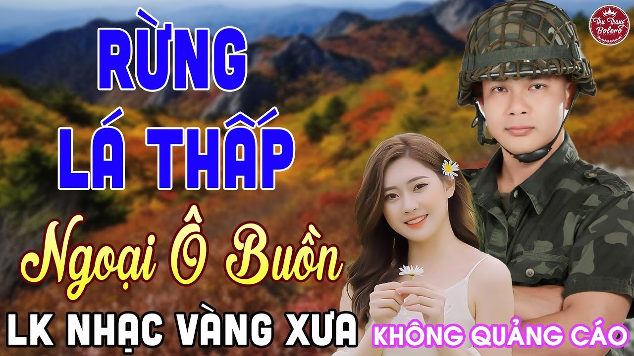 RỪNG LÁ THẤP ➤ LK Nhạc Vàng Xưa CÔNG TUẤN Toàn Bài Hay Nghe Cực Êm Tai✔️KHÔNG QUẢNG CÁO