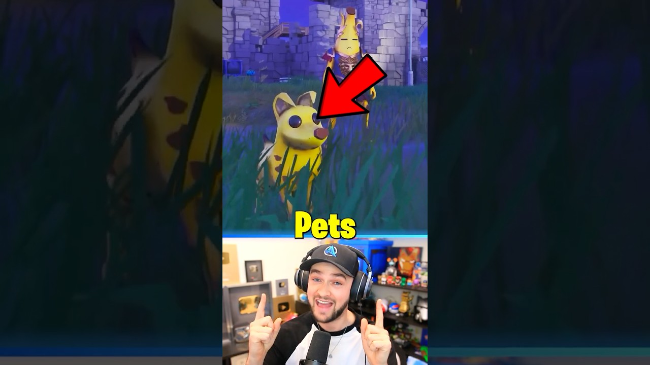 *NEW* Fortnite Pets SCAM!?