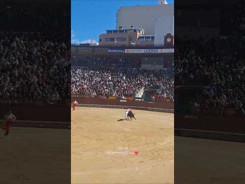 recorte misu toro bravo Castellón #shorts