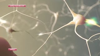 Čo sa deje v mozgu počas epilepsie?