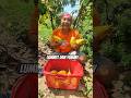 Yellow avocado, buah nya besar dan rasanya yummy lembut, TOP lah. #mancing #alpokat #buah