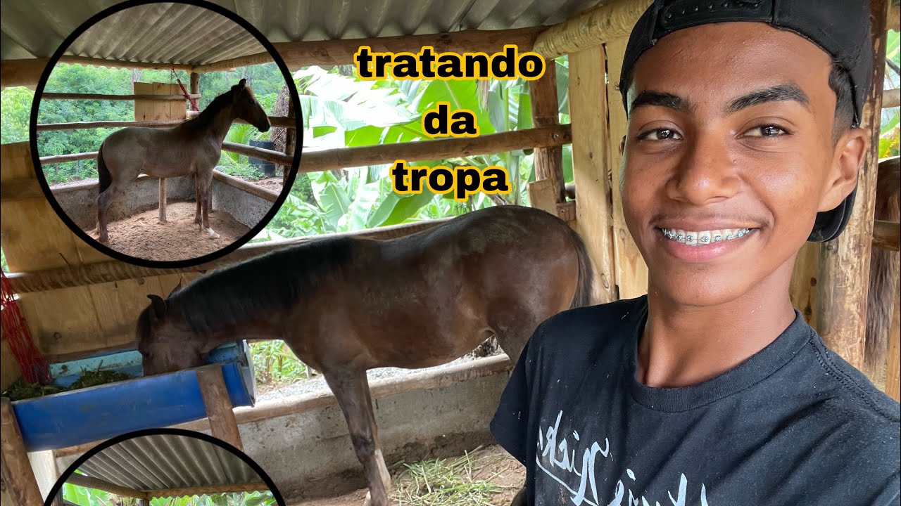 Tratando da tropa￼