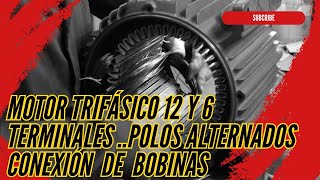 ✨MOTOR TRIFASICO 6 Y 12 PUNTAS 'CURSO' l: ✨Conexión de terminales en motores trifásicos ✨ 'Guía Pro'