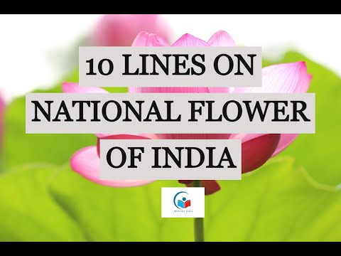 10 lines on National Flower of India Lotus