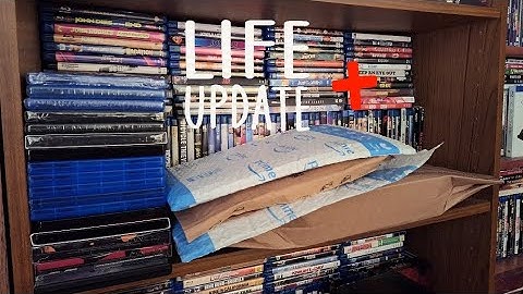 Life Update + August & September 2024 Movie Pickups