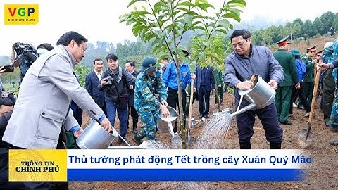 Tổ chức thực hiện hiệu quả phong trào Tết trồng cây ‘Đời đời nhớ ơn Bác Hồ’