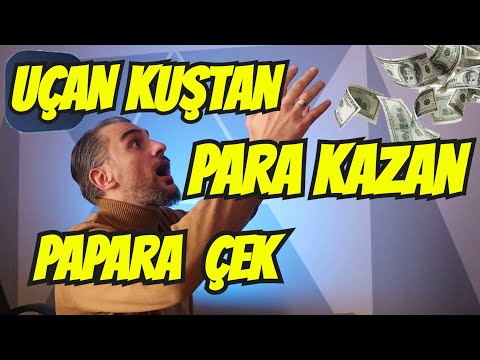 PARA KAZANDIRAN KUŞLAR | OYUN OYNA PARA KAZAN | İNTERNETTEN PARA KAZANMA