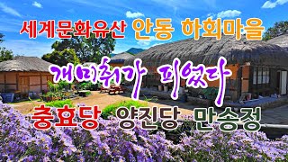 안동하회마을 영상