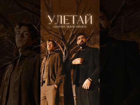 «Ты хочешь за горизонт, но у меня сломаны крылья…»🕊️ Merab Amzoevi, LISOVSKY — «Улетай» уже в сети!