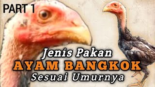 Dont Make A Mistake  Types Of Bangkok Chicken Feed According To Age