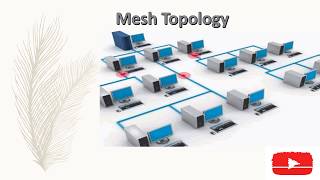 Network Topology And Its Types  Bus ring  Star  Mesh  Tree    Computer Networks