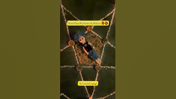 Agree ..? | Day 29/100 Learning DSA in Java from Scratch 🚀 | #dsa #100daysofcode #blackmagic