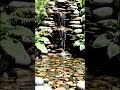 Relaxing Backyard Pond &amp; Waterfall Design 🌿💧 #shorts #nature