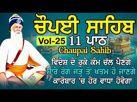 11 ਪਾਠ ਚੌਪਈ ਸਾਹਿਬ / ਅਵਰਿ ਕਾਜ ਤੇਰੈ ਕਿਤੈ ਨ ਕਾਮ ਮਿਲ ਸਾਧਸੰਗਤਿ ਭਜੁ ਕੇਵਲ ਨਾਮ / 11 Path Chaupai  Vol- 25