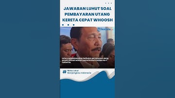 JAWABAN LUHUT soal Pembayaran Utang Kereta Cepat Whoosh: Apa Sih Masalahnya? Siapa yang Minta APBN?