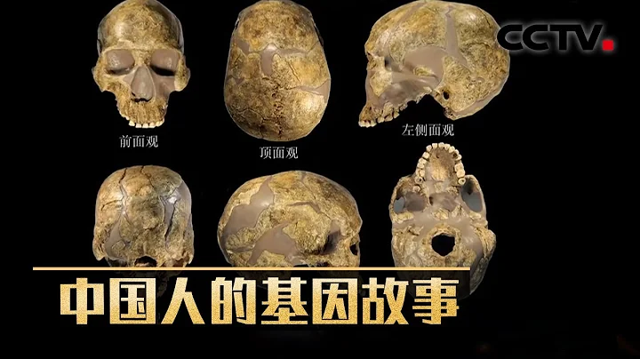 追骨尋蹤 解讀一萬年來中國人的基因密碼 20210418 |《考古公開課》CCTV科教 - 天天要聞