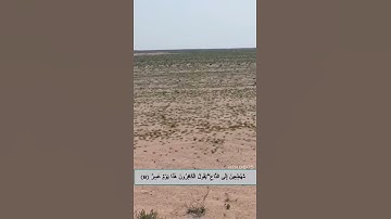 سورة القمر . رعد الكردي