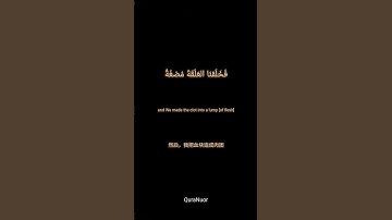 أكتب شيئا تؤجر عليه ياسر الدوسري [المؤمنون: ١٢-١٦] #قرآن #اكسبلور #تلاوة_خاشعة #quran #explore