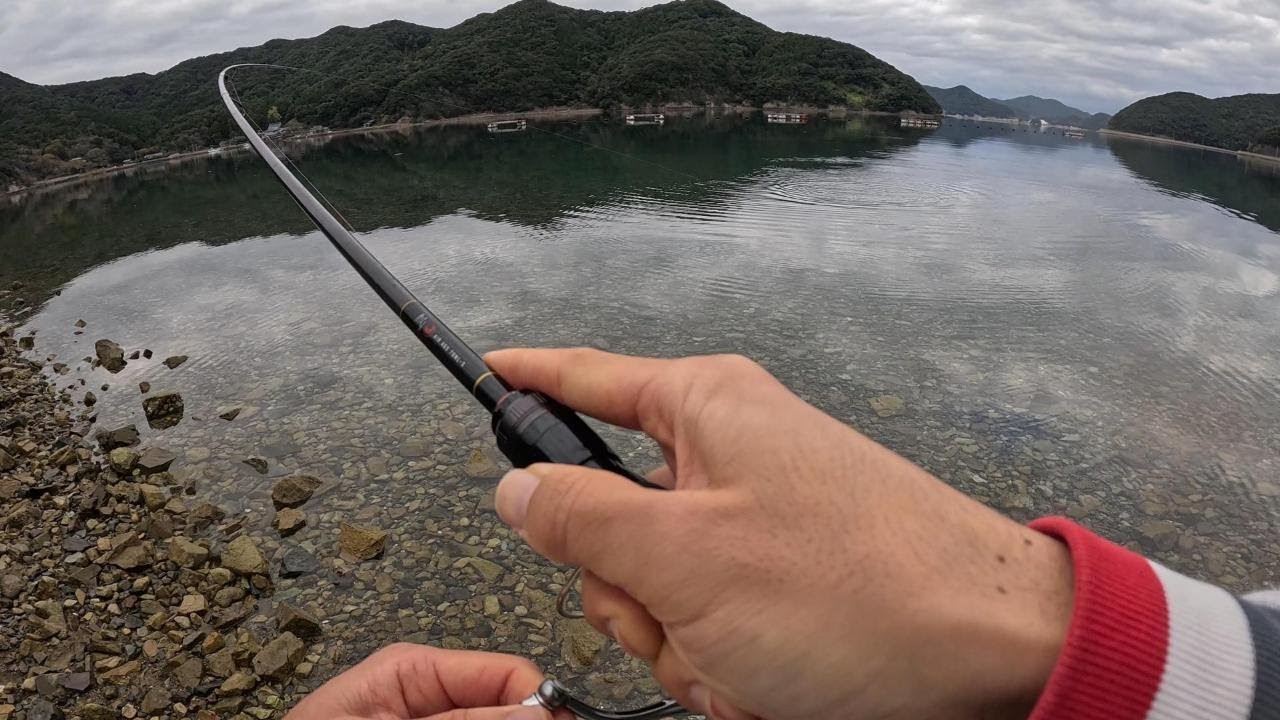 晩秋のライトゲームで根魚・小型回遊魚連発