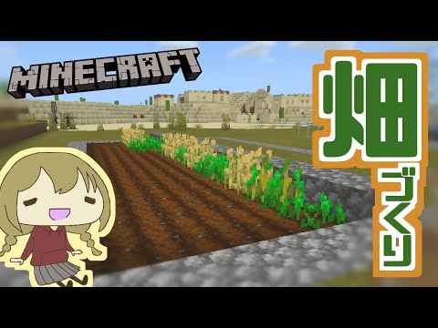【マイクラ】#5　初めて畑をつくります！PS4版（女性実況）
