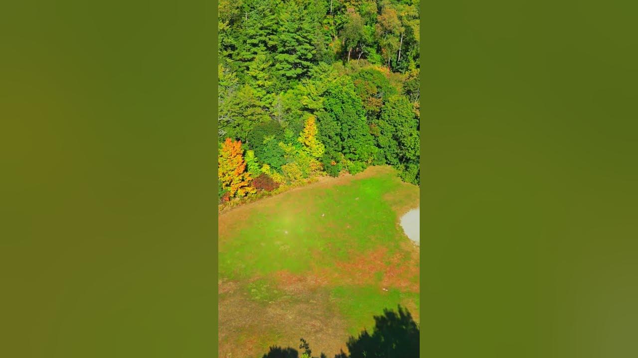 Park & Baseball Field Toronto 4K Drone Footage YouTube