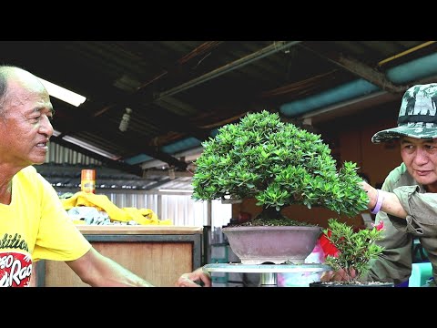 วีดีโอ: 3 วิธีในการเก็บกระต่ายแบบออร์แกนิกออกจากสวนของคุณ