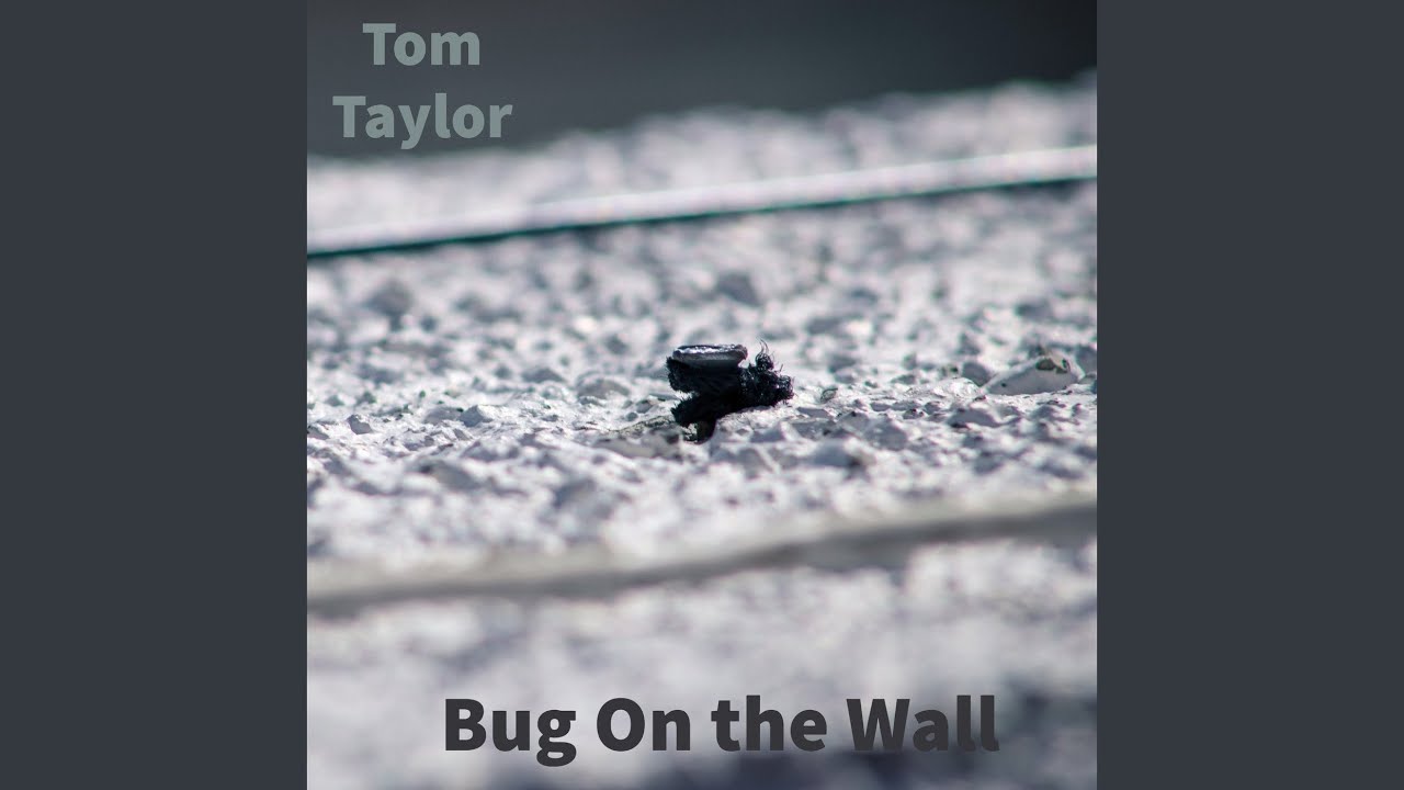 Bug on the Wall - YouTube