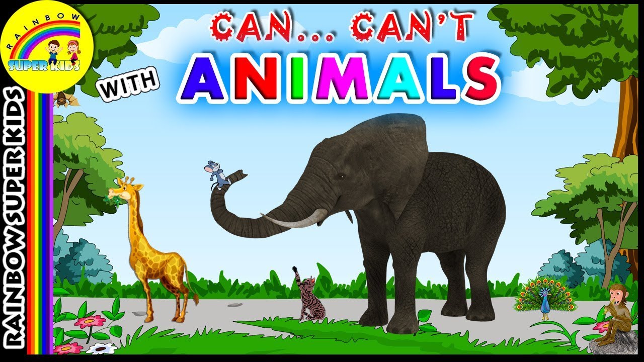 Animals and Their Abilities - Can and Can't with Animal - Facts about  Animals - YouTube