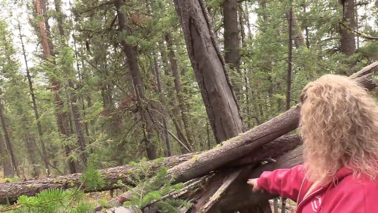 Sasquatch Tracks & Structure at Deadly Bauman Bigfoot Location YouTube