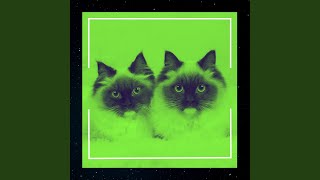 Tranquil Ambiance for Cats Jukebox