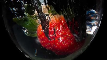 Cactus LV5 in action