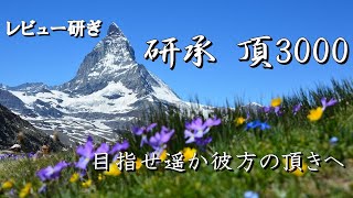 【砥石】研承 頂3000番の研ぎ上がりとレビュー【字幕解説】