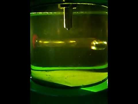 Diesel injector spray pattern 1800bar pressure piezo - YouTube